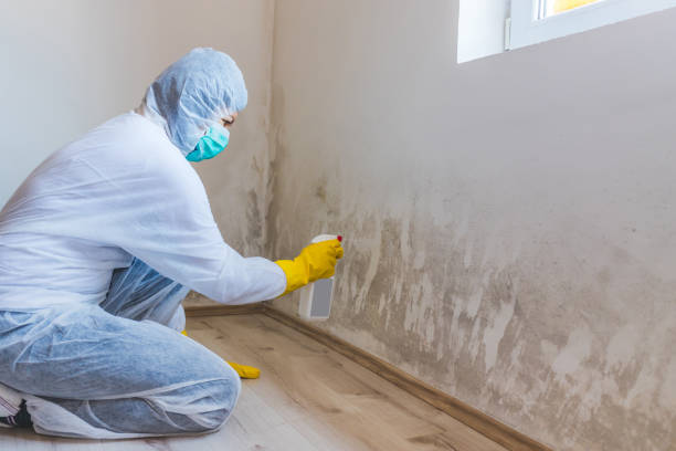 Bathroom Mold Removal assessment in La Plata bathroom